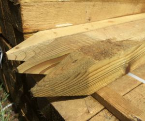 600mm 47mm x 47mm Treated Peg