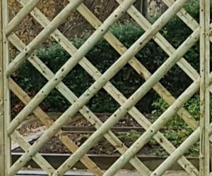 1.8m x 1.8m Rose Panel