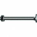 12mm Coach Bolt