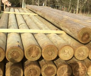 3.6m x 100mm machined UC4 Treated pole