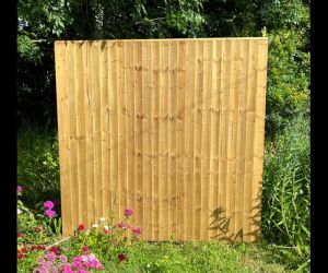 Closeboard panel 5'6"high x 6'0 (100mm F