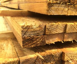 3.0m 22mm x 50mm treated batten