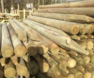 1.20m x 50mm machined post treated