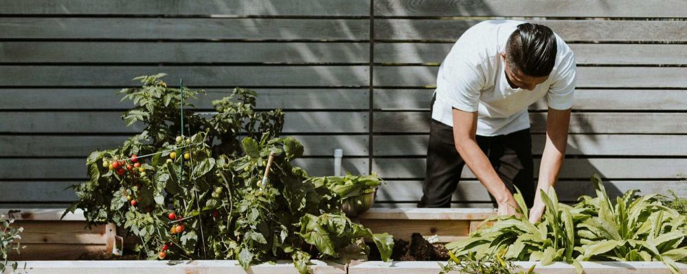 Transform Your Outdoor Space: DIY Garden Makeover Ideas