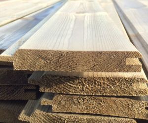 4.2m ex 19mm x 100mm TGV Treated