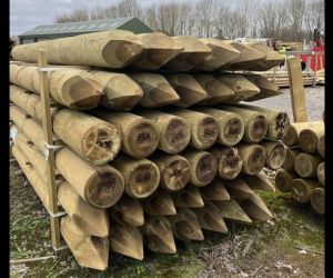 2.4m 150mm diameter Pointed KILN DRIED UC4